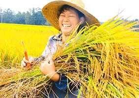 大悟客户周女士